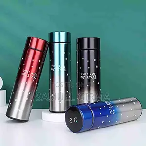 -Smart LED Temperature Display Bottle 