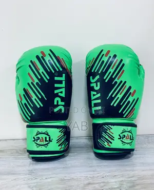 Spall Boxing Gloves. Pro