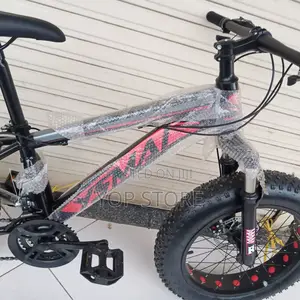 Bicycle Brand New for Kids