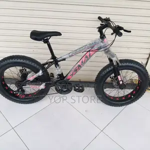 Bicycle Brand New for Kids