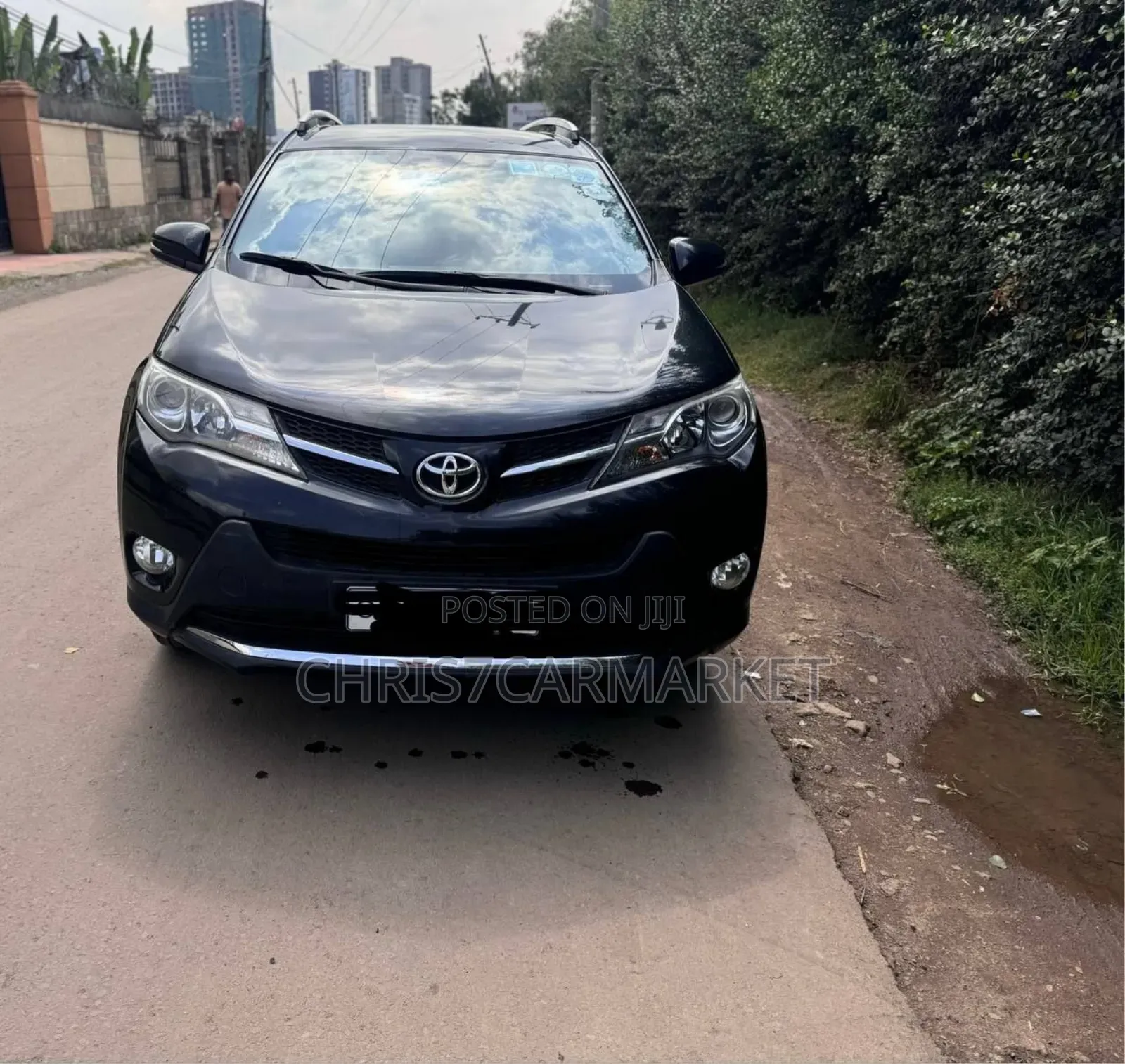 Toyota RAV4 2015 Brown