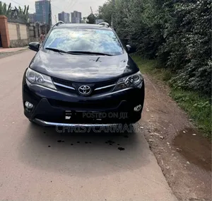 Toyota RAV4 2015 Brown