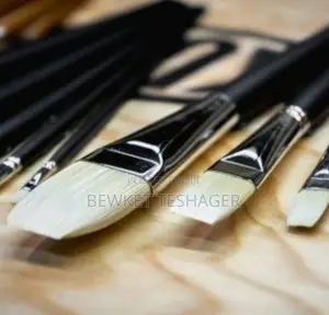 Professional Brush