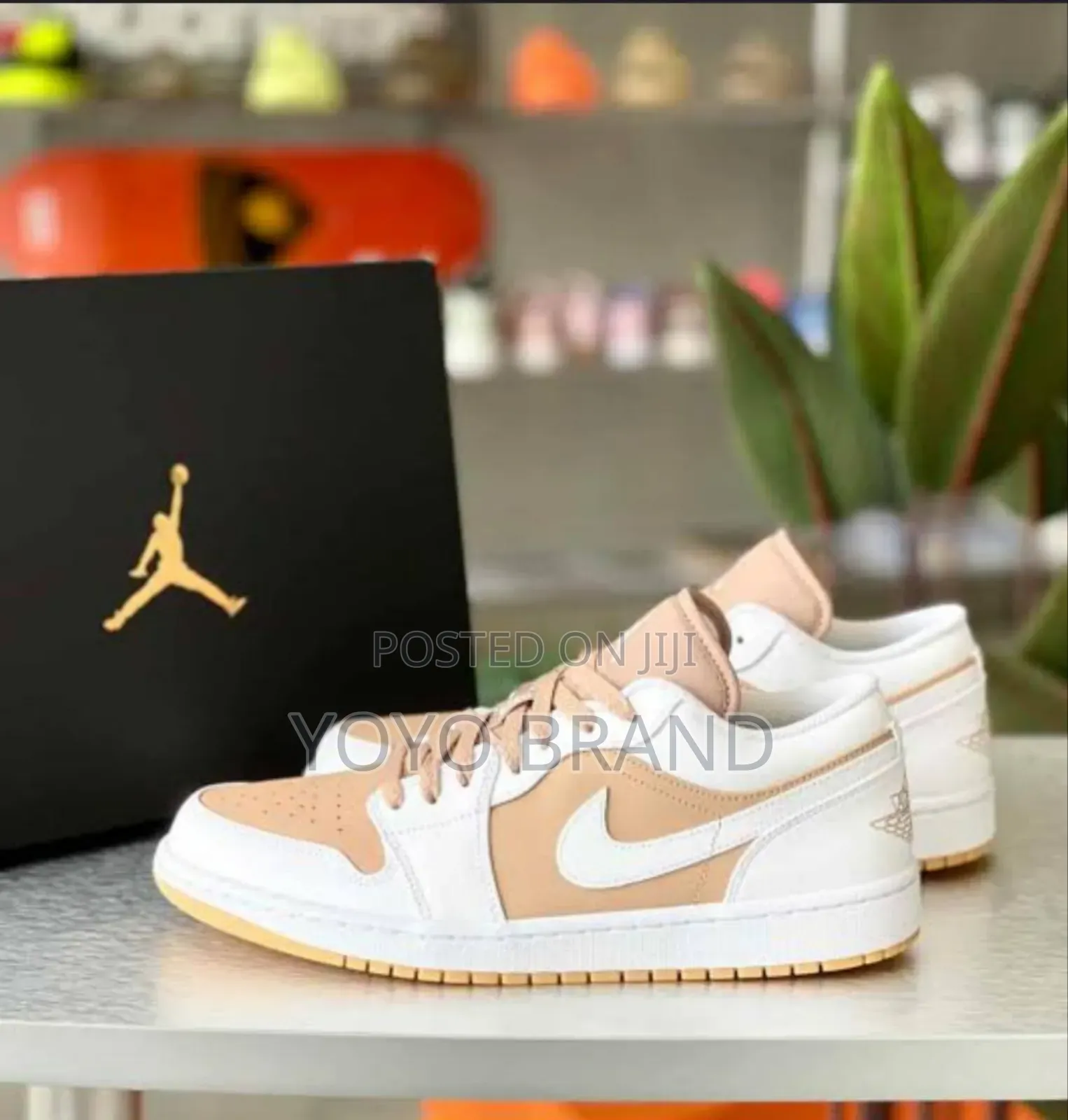 Air Jordan Low