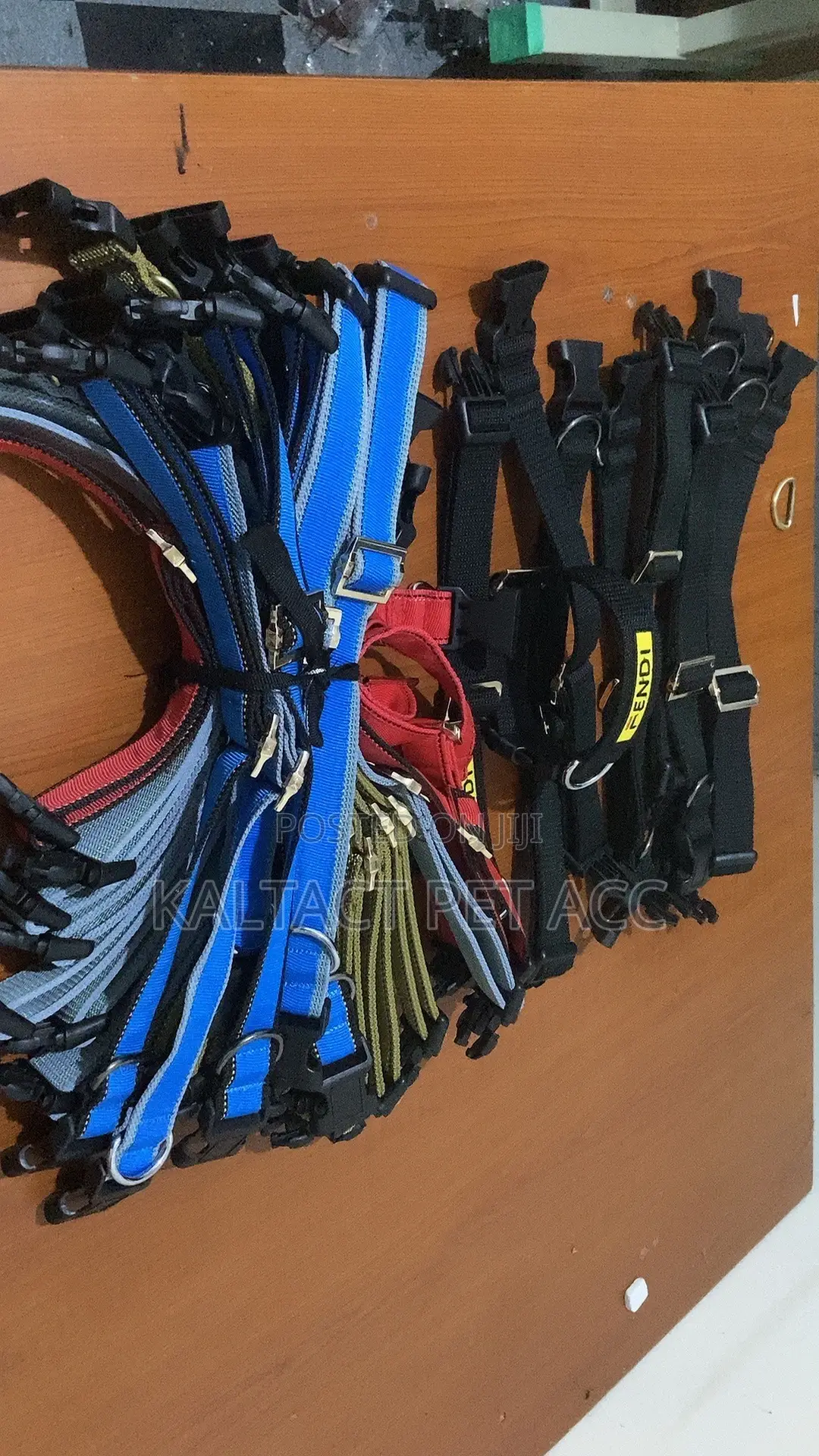 Dog Collars and Leashes