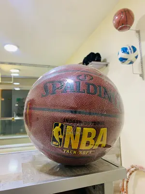 Spalding Basketball Endorsed by the Nba