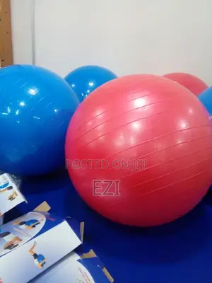 Exercise Balls.