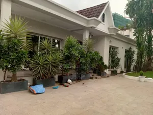 3bdrm House in Bole for rent