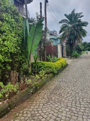 የሚሸጥ ቦታ አያት ሀይሌ ሪልስቴት አካባቢ