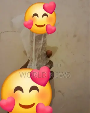 Classic Dildo for Pretty Women