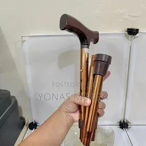 Walking Sticks for the Elderly to Help the Elderly to Travel