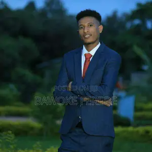 IT Officer