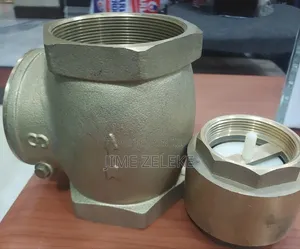 Check Valve