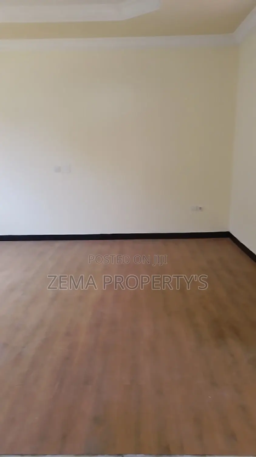 Furnished 3bdrm Apartment in City Plaza, Kirkos for rent