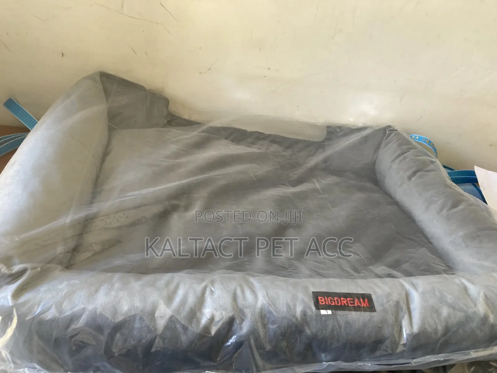 Dog Bed Available