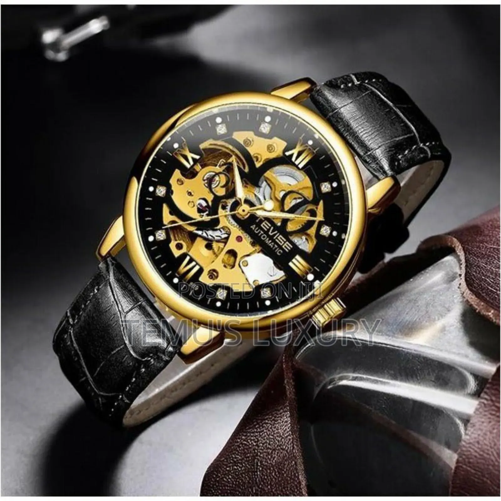 Tevise Men's Automatic Leather Watch