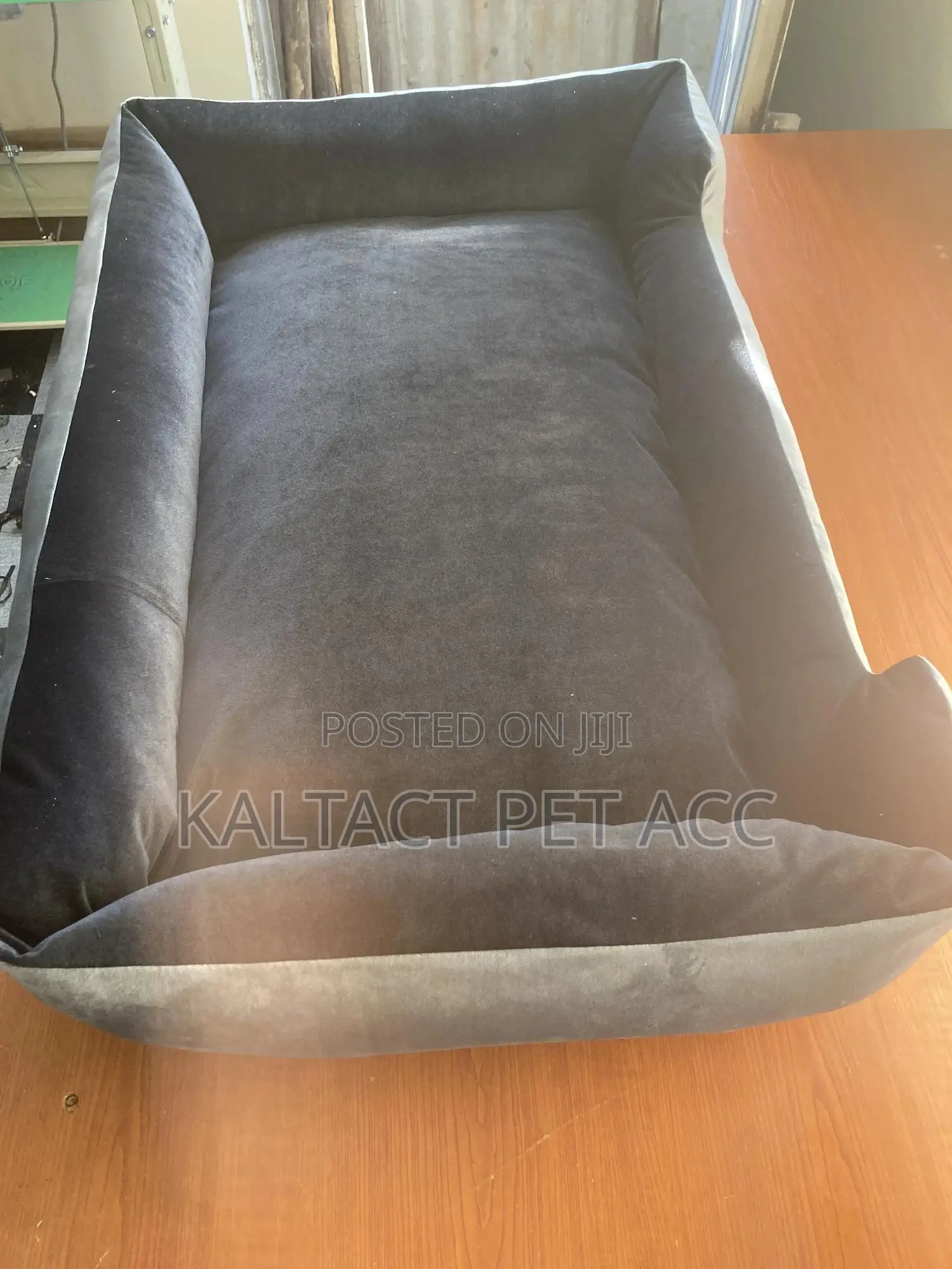 Dog Bed Available