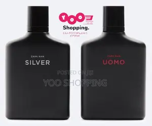 Zara Man Silver and Zara Uomo