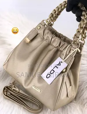 *Aldo* *Handy + Sling Bag*