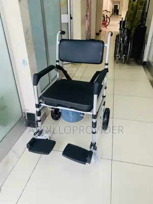 Wheelchair/Toilet/Toilet Chair/Commode Wheechair/Wheelchair