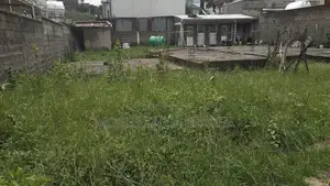 የሚሸጥ አያት የአያት ቤቶች የግንባታ ቦታ