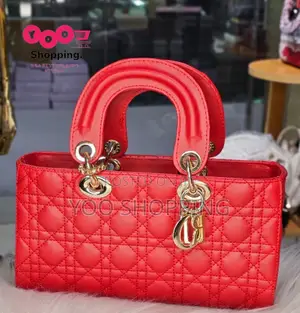 CHRISTIAN Dior Womens Bag