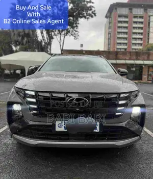 Hyundai Tucson N Line 2022 Gray
