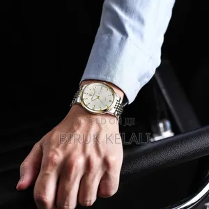 POEDAGAR Luxury Men's Watch
