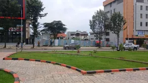 የሚሸጥ ቦታ አያት ዋና መንገድ የያዘ