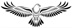 Eagle Online Shop