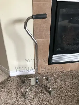 Walking Stick/Walking Cane Making It a Free Standing Cane