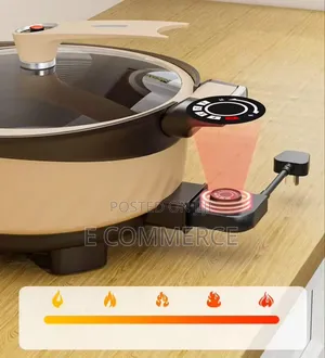1multipurpose Electric Micro Pressure Cooker