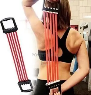 5 Spring Chest Exerciser