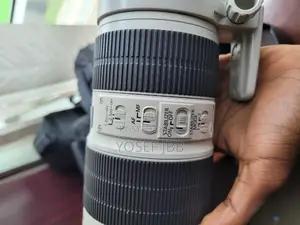 Zebra Lens