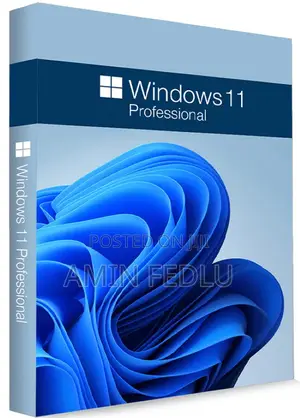 Windows 11 Pro 23H2