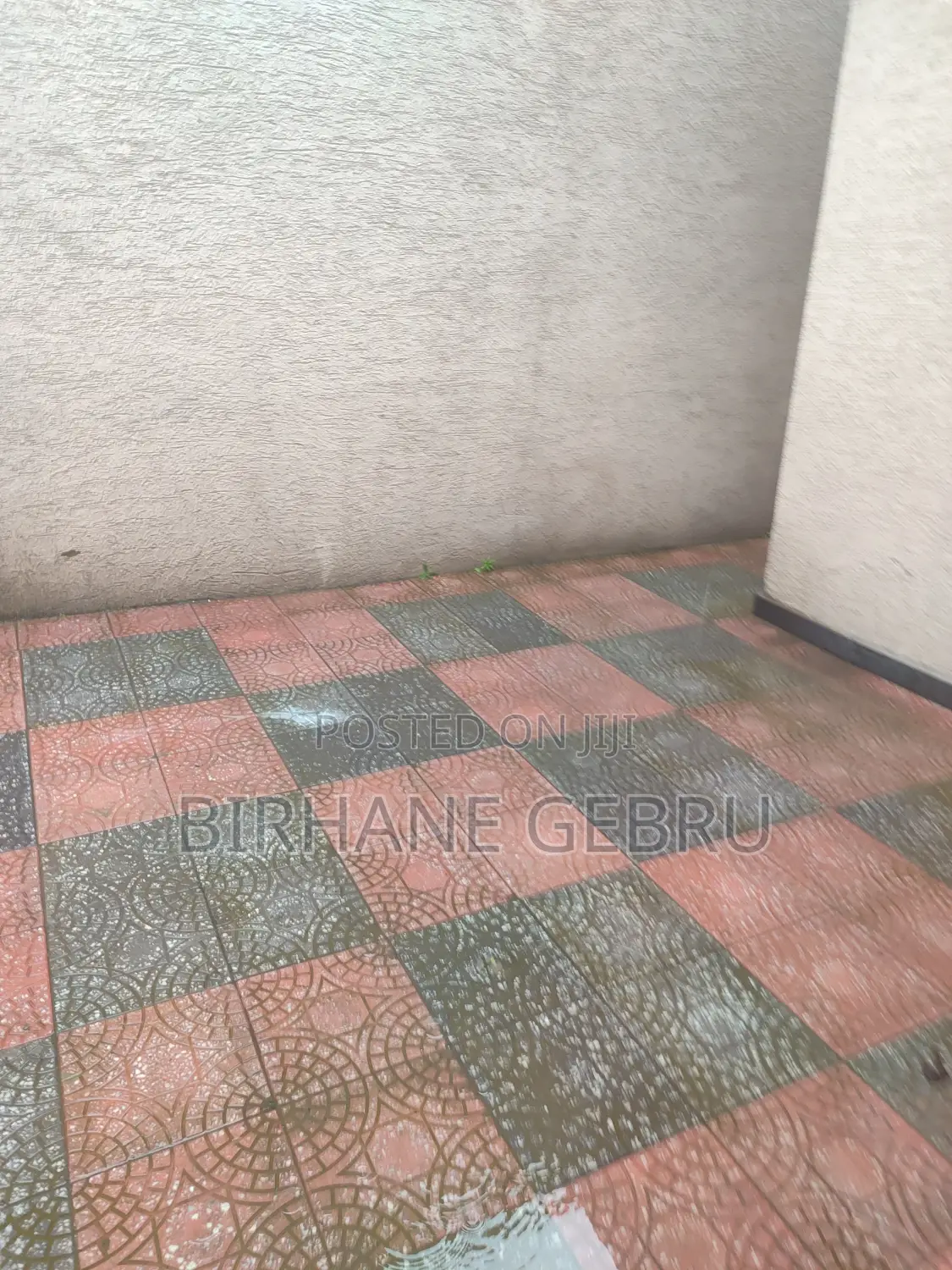 Villa House Rent