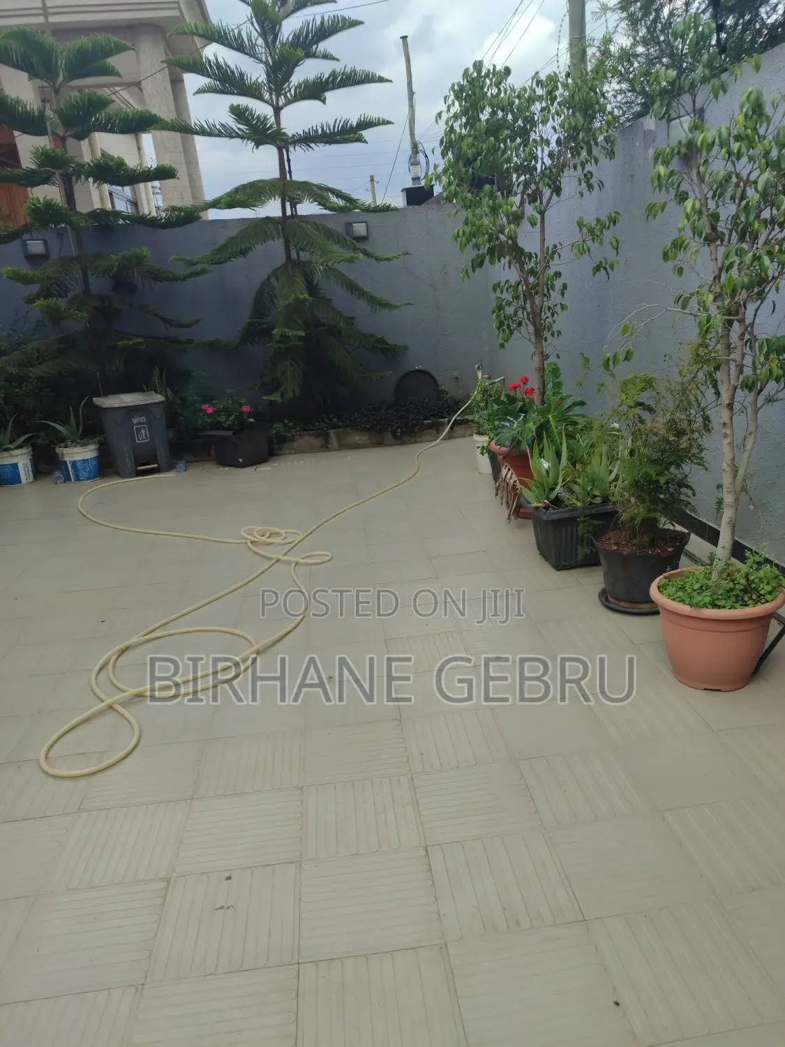 Villa House Rent