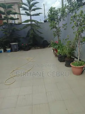 Villa House Rent