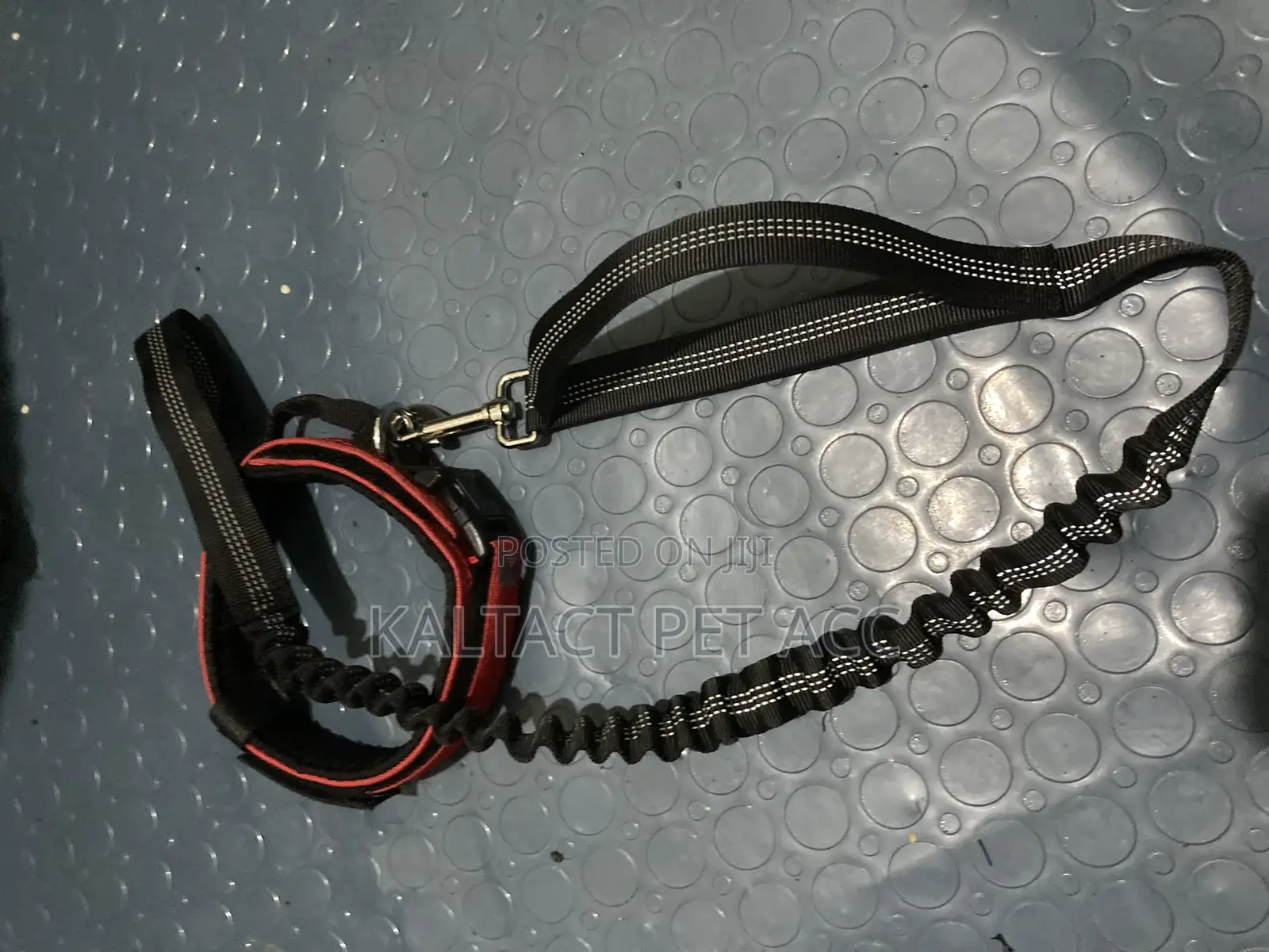 Dog Leashes
