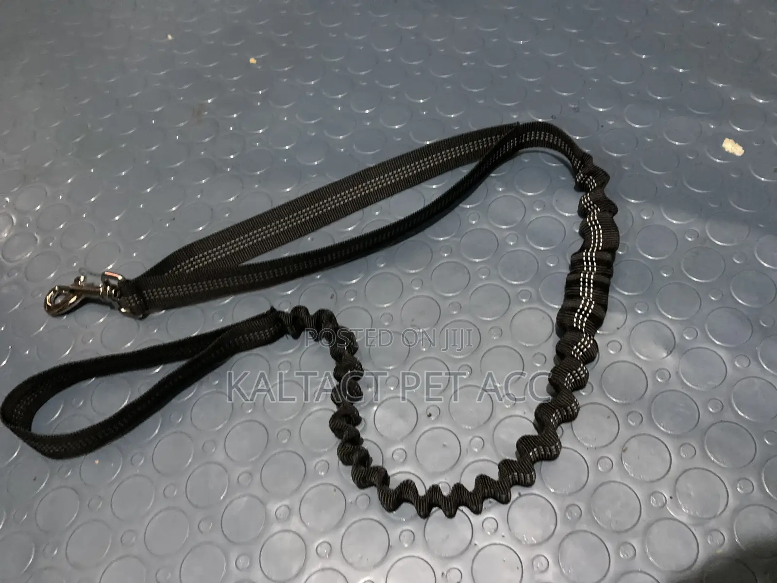 Dog Leashes