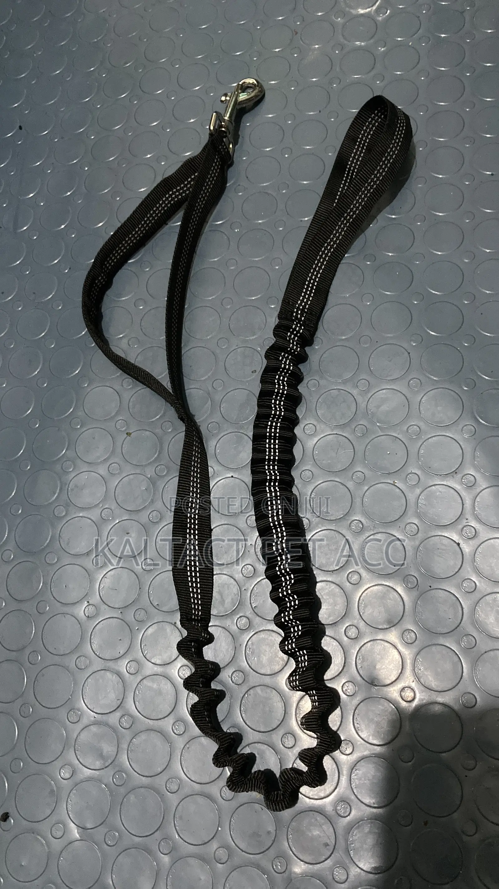 Dog Leashes