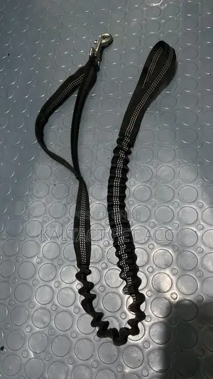 Dog Leashes