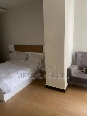 Furnished 2bdrm Apartment in Bole for rent