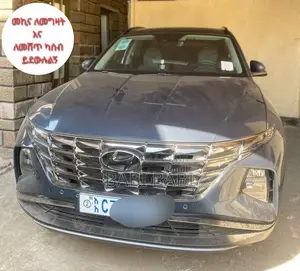 Hyundai Tucson 2023 Blue