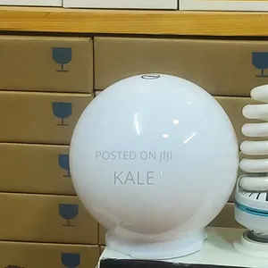 Globe Light