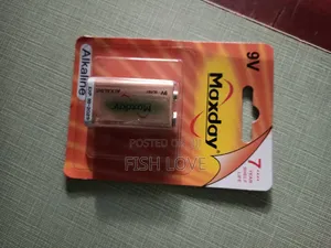 9V Maxday Alkaline Battery