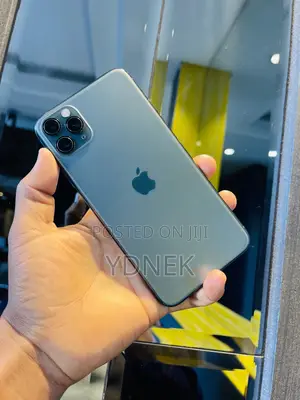 Apple iPhone 11 Pro Max 256 GB Gray