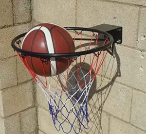 Basketball Ring, Net and Ball.