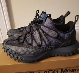 Adidas ACG Gortx Master Quality Shoes for You
