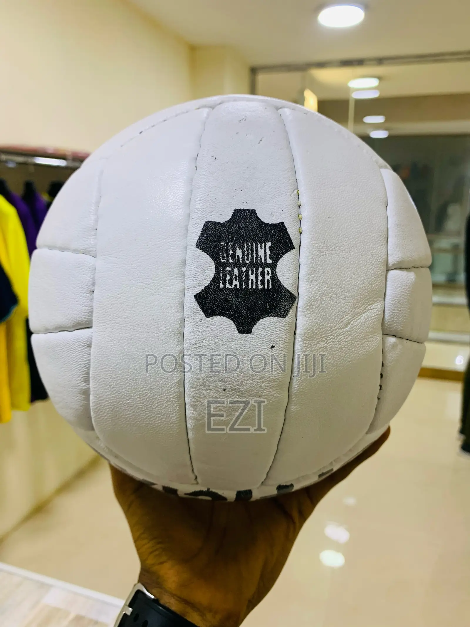 Leather Volleyballs
